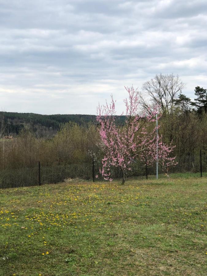 OlbendorfLandhaus Suedburgenland别墅 外观 照片