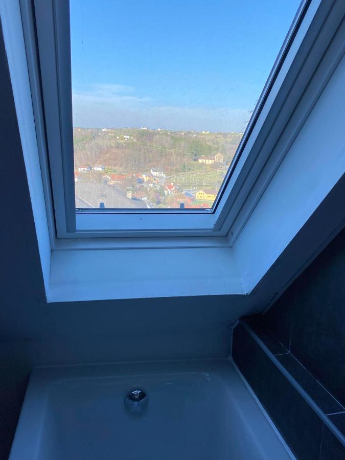 OlbendorfLandhaus Suedburgenland别墅 外观 照片